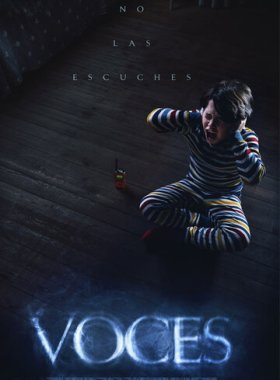 Я слышу голоса